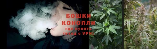 спайс Арсеньев
