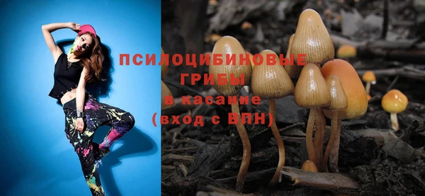 apvp Аркадак