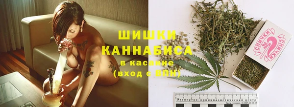 apvp Аркадак